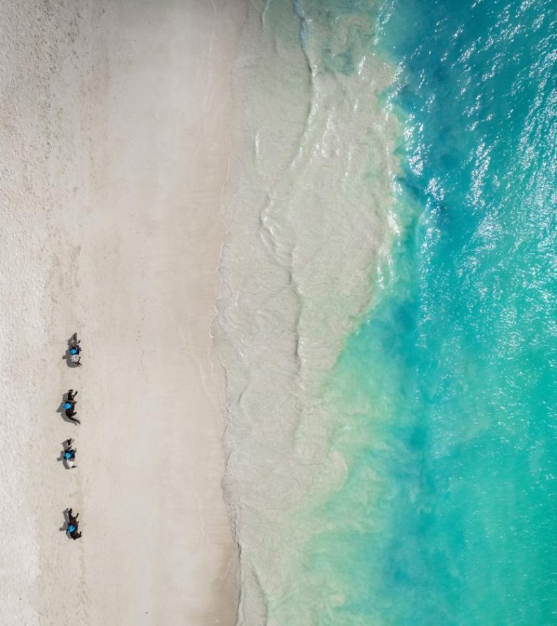 17dfa21f-29ed-465b-bd20-e0de26ca9e6d